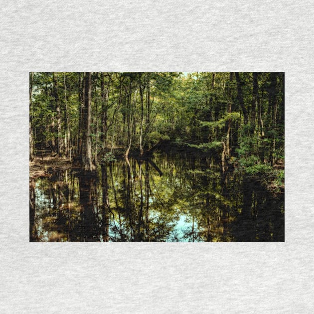 Swamp in Southeastern Georgia by Gestalt Imagery